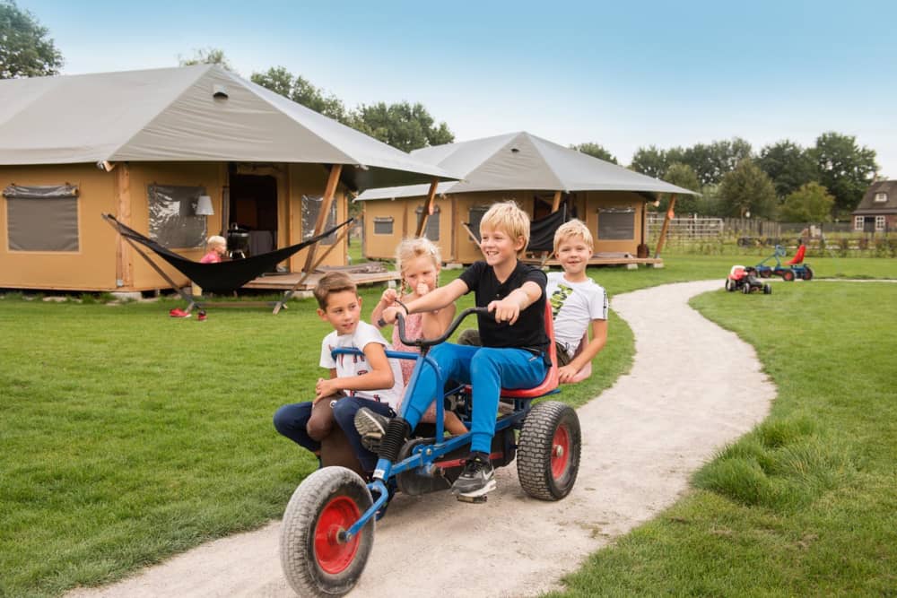 FarmCamps Alpaca Vorstenbosch Noord-Brabant sk