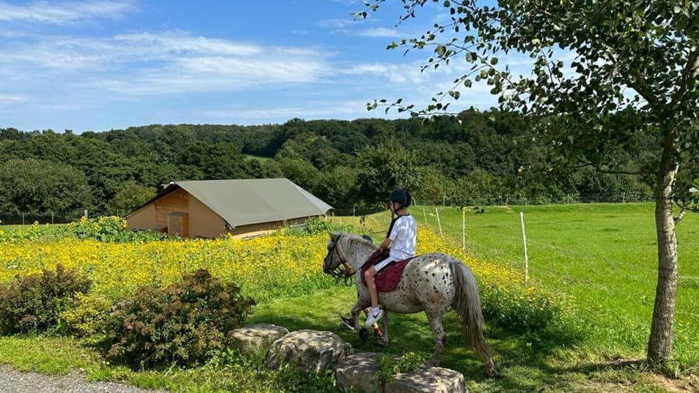 Finn op paard bij tenten