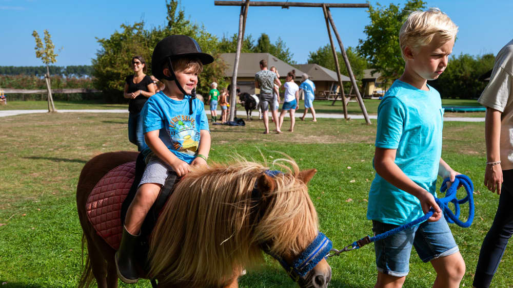 FarmCamps Op Flakkee Zuid-Holland kinderen met