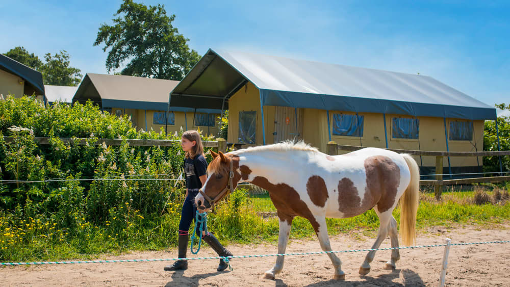 FarmCamps Fleur Stables Noord-Holland meisje p