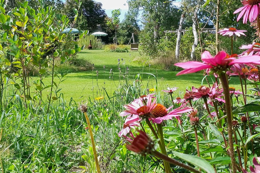 Visiting Garden