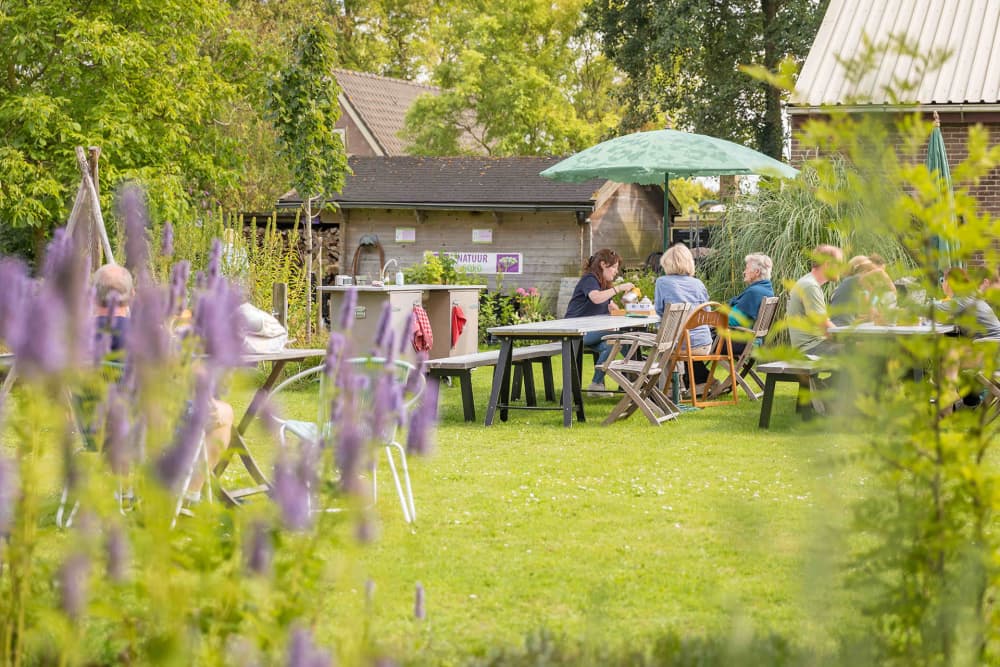 Outdoor Cooking, Visiting Garden