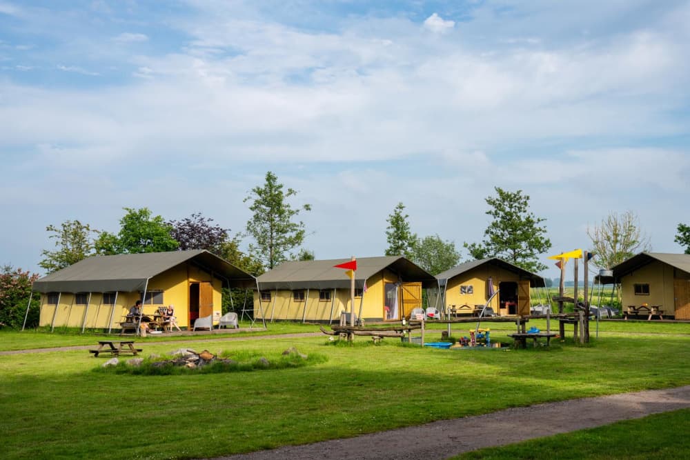FarmCamps Geele Bosch Friesland tentenveld gez