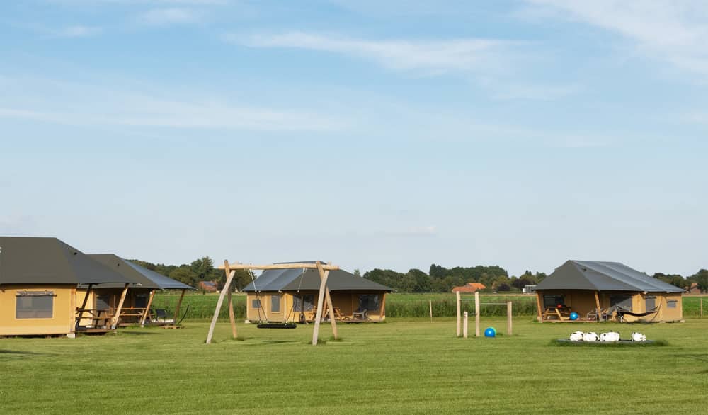 barntenten kalverliefde