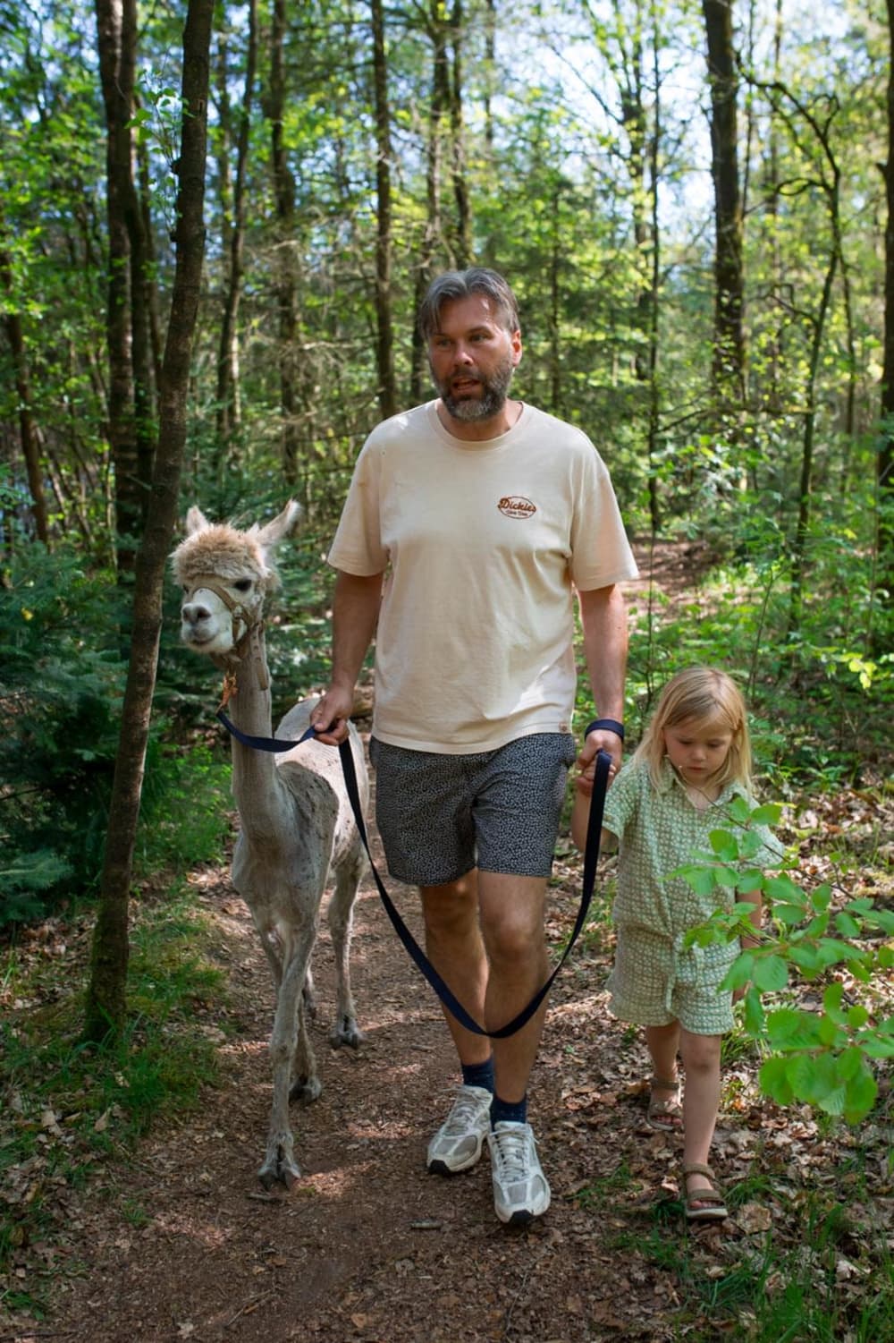 FarmCamps De Bosrand alpaca wandelen vader met