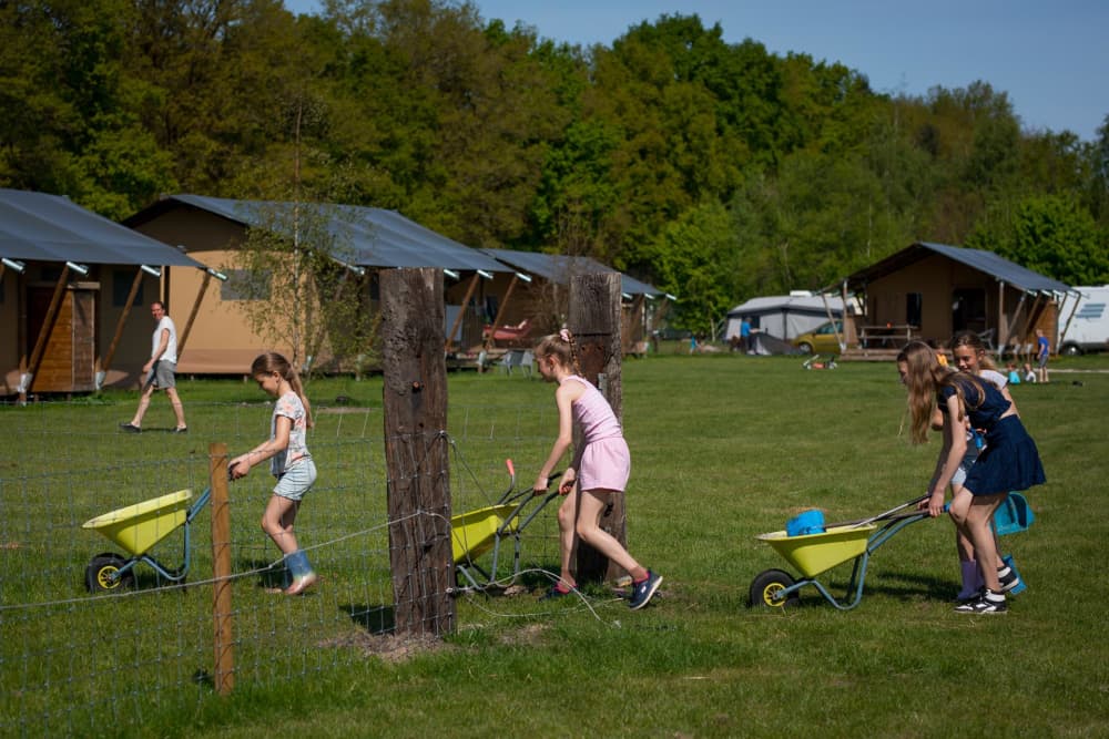FarmCamps De Bosrand kinderen komen helpen met