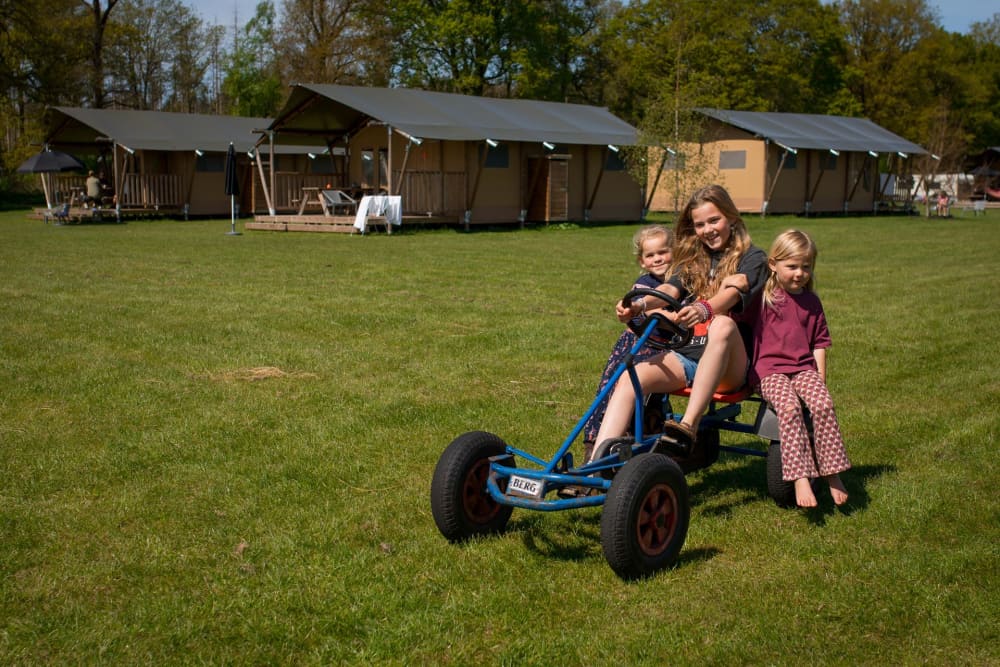 FarmCamps De Bosrand meerdere meisjes op skelt