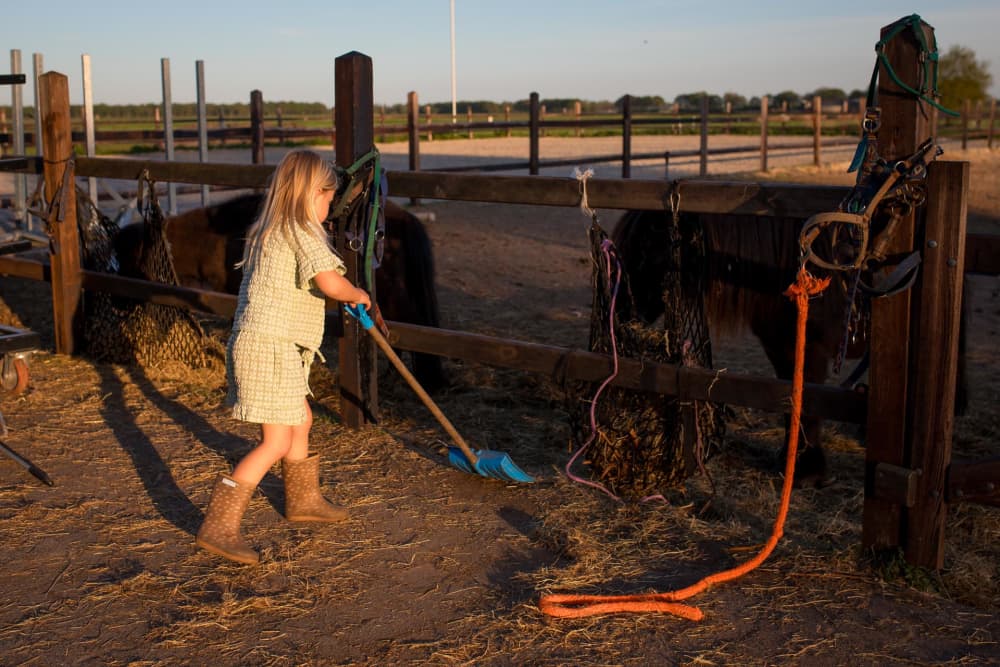 FarmCamps De Bosrand meisje bij paardenbak met