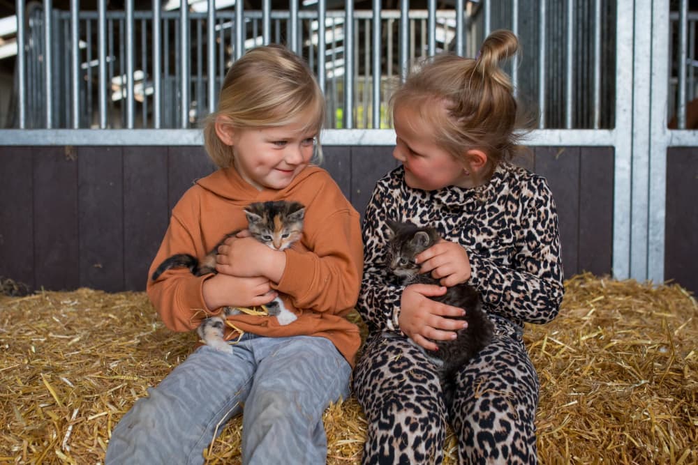 FarmCamps De Bosrand meisjes met kittens