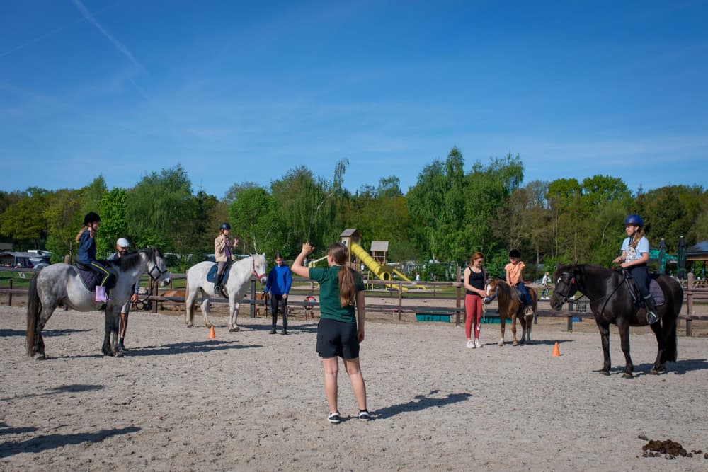 FarmCamps De Bosrand paardrijles ponyles