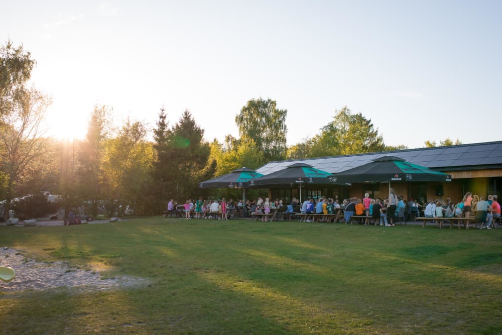 FarmCamps De Bosrand paviljoen boszicht lekker