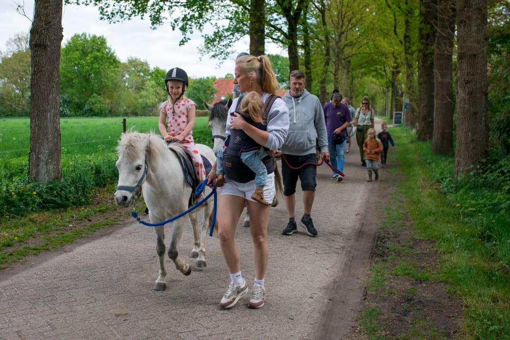FarmCamps De Bosrand pony wandeling 4