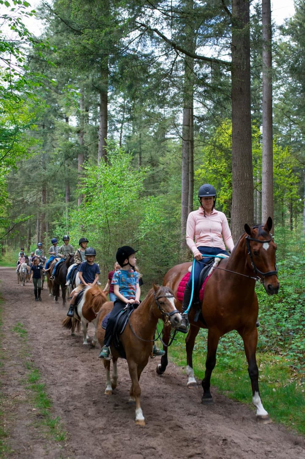 FarmCamps De Bosrand pony wandeling 8