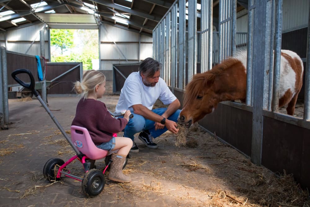 FarmCamps De Bosrand voeren pony