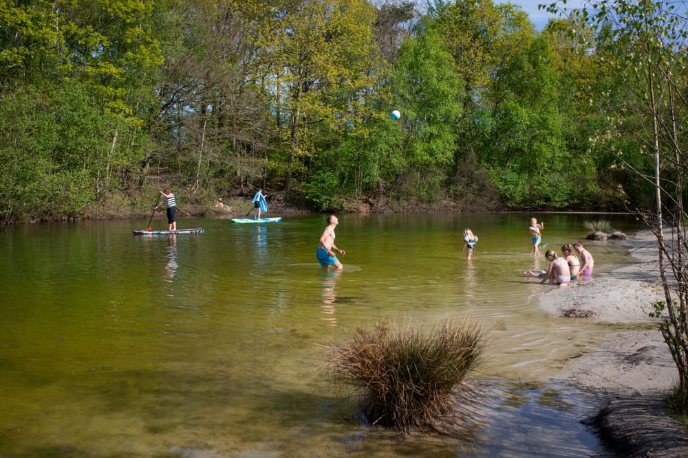 FarmCamps De Bosrand zwemmeertje zwemmen en su