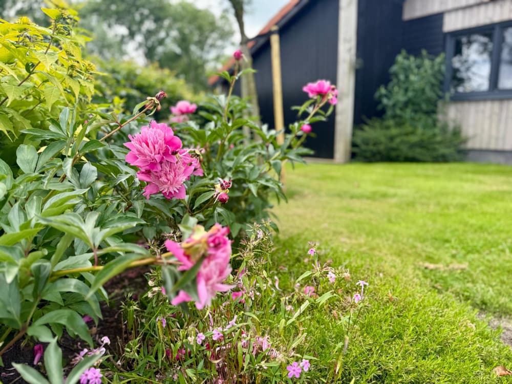 Buitenzijde achterkant 25 1