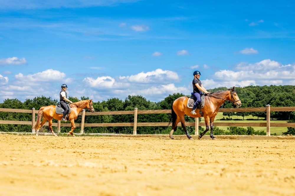 FarmCamps Soodehof Eins paard pony rijden in r