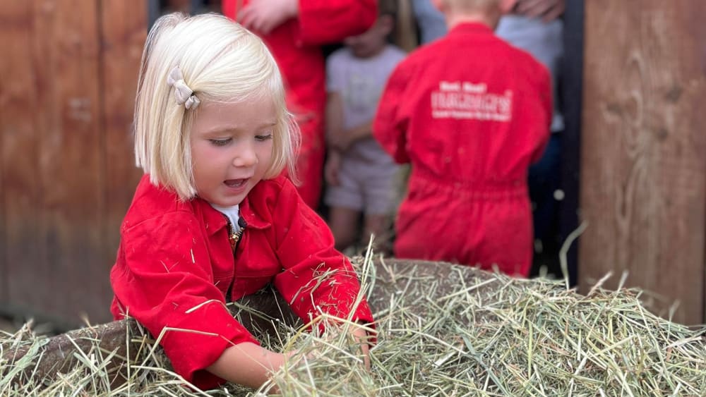 FarmCamps De Kalverliefde meisje spelen hooi