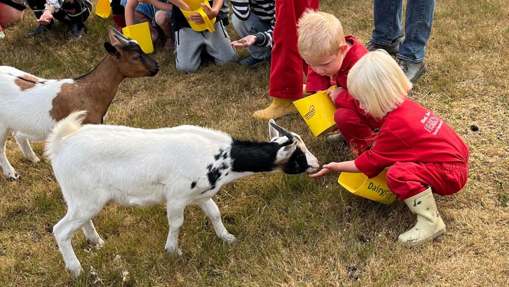 FarmCamps De Kalverliefde kindjes voeren geitjes