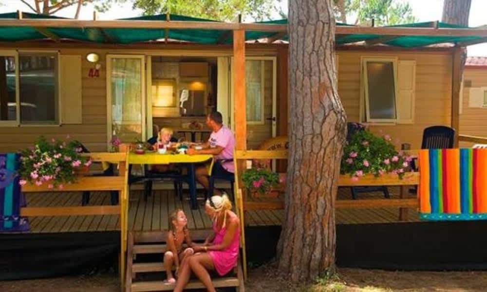 1000x600-crop-90-fab-excelle