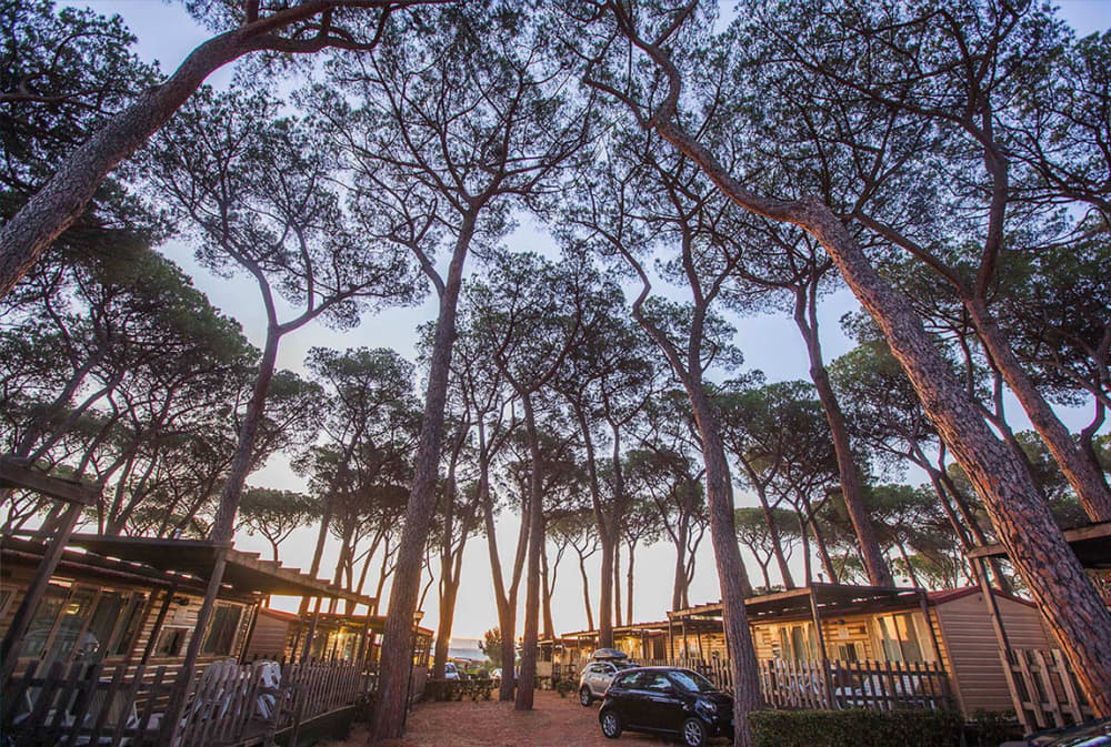 village-fabulous-video-placeholder