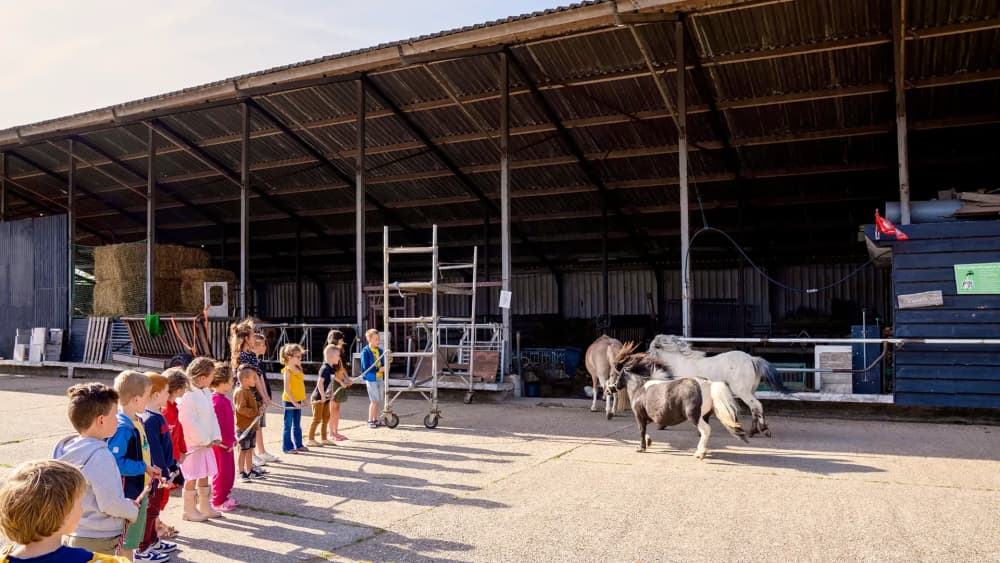 FarmCamps Five Star kinderen vormen rij lint ponys rennen naar binnen