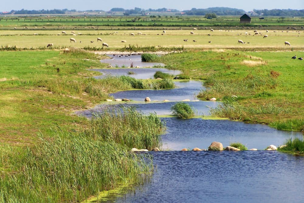 Fotoalbum Fotowettbewerb 2025