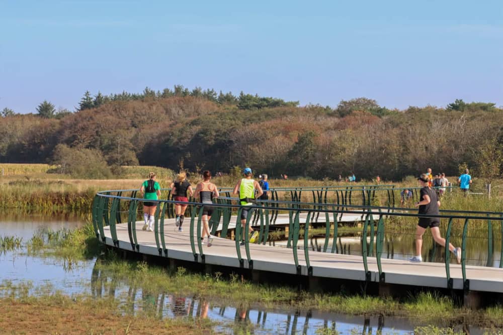 Fotoalbum Texeler Halbmarathon
