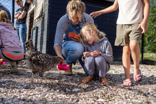 FarmCamps - Kamperhoek - HR-27 1