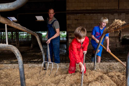 FarmCamps Kooij Hoeve Zuid-Holland boer helpen