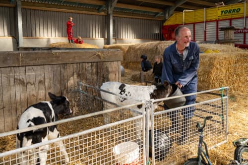 FarmCamps De Bonte Fries Friesland boer bij ka
