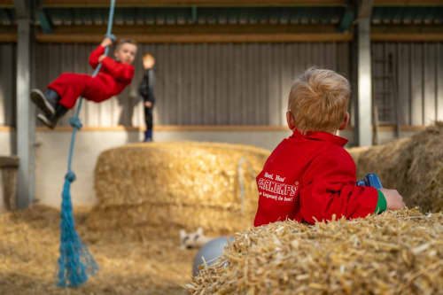 FarmCamps De Bonte Fries Friesland kinderen sp