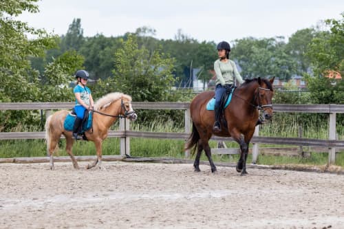 FarmCamps Breehees Brabant meiden pony's rijde