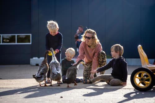 FarmCamps Kamperhoek Zeeland eenden voeren moe