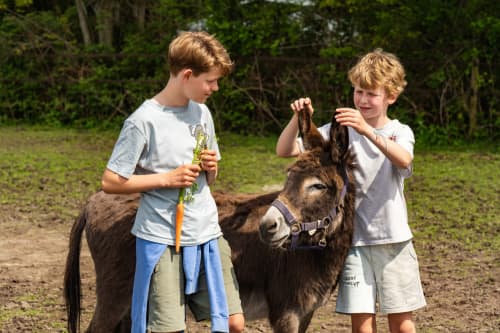 FarmCamps Holzik Stables Overijssel jongens m