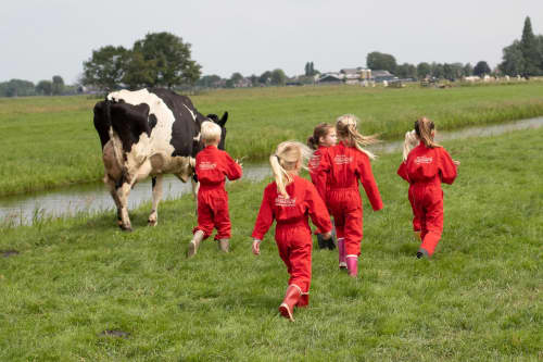 FarmCamps Stolkse Weide Zuid Holland kinderen 