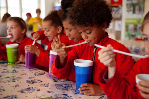 FarmCamps Stolkse Weide Zuid-Holland ijs slush