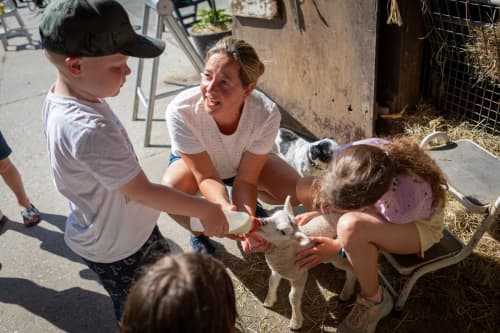 FarmCamps Fleur Stables Noord-Holland kinderen