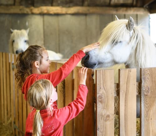 FarmCamps De Smulhoeve meisjes aaien pony