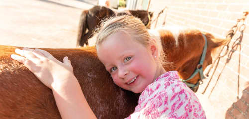 Breehees header-home-6