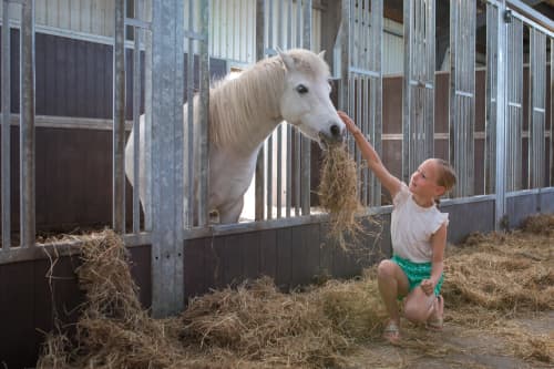 FarmCamps De Bosrand meisje voedt en aait pony