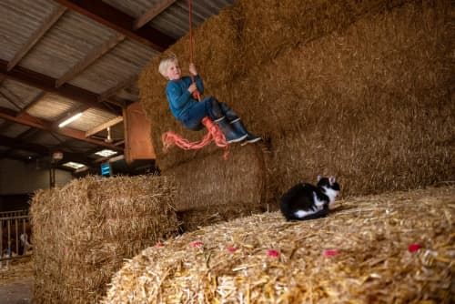 FarmCamps De Oostermaat Overijssel hooi hooi s