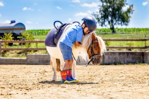 FarmCamps Soodehof Eins jongetje pony knuffele