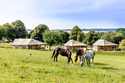 FarmCamps Soodehof Eins overzicht tentenveld b