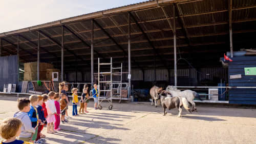 FarmCamps Five Star kinderen vormen rij lint ponys rennen naar binnen