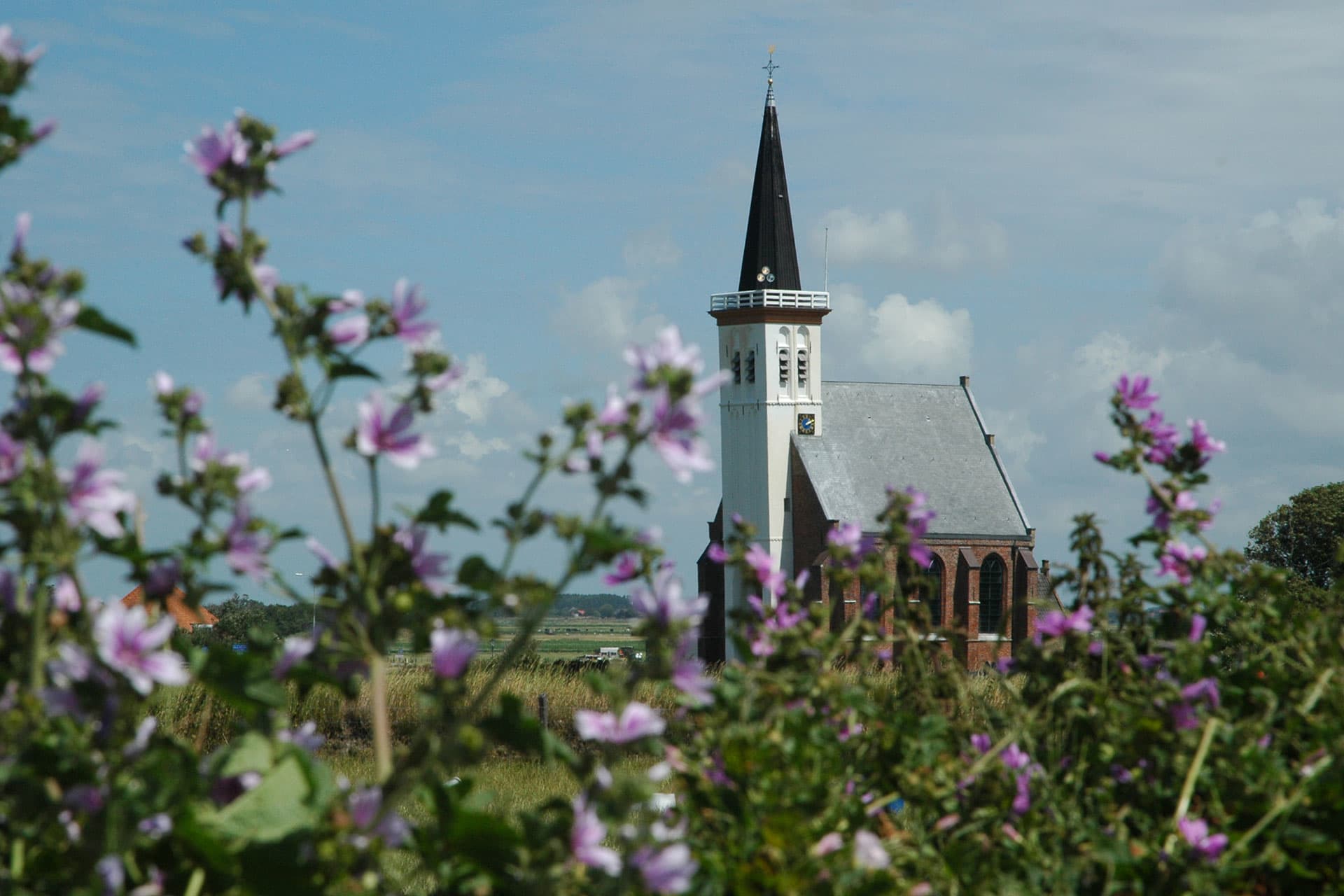 Weiße Kirche, Marktumfeld