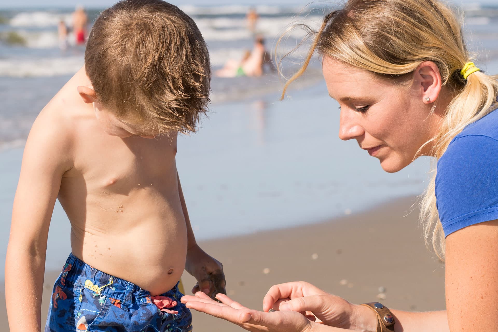 Fotoalbum zomer op Texel