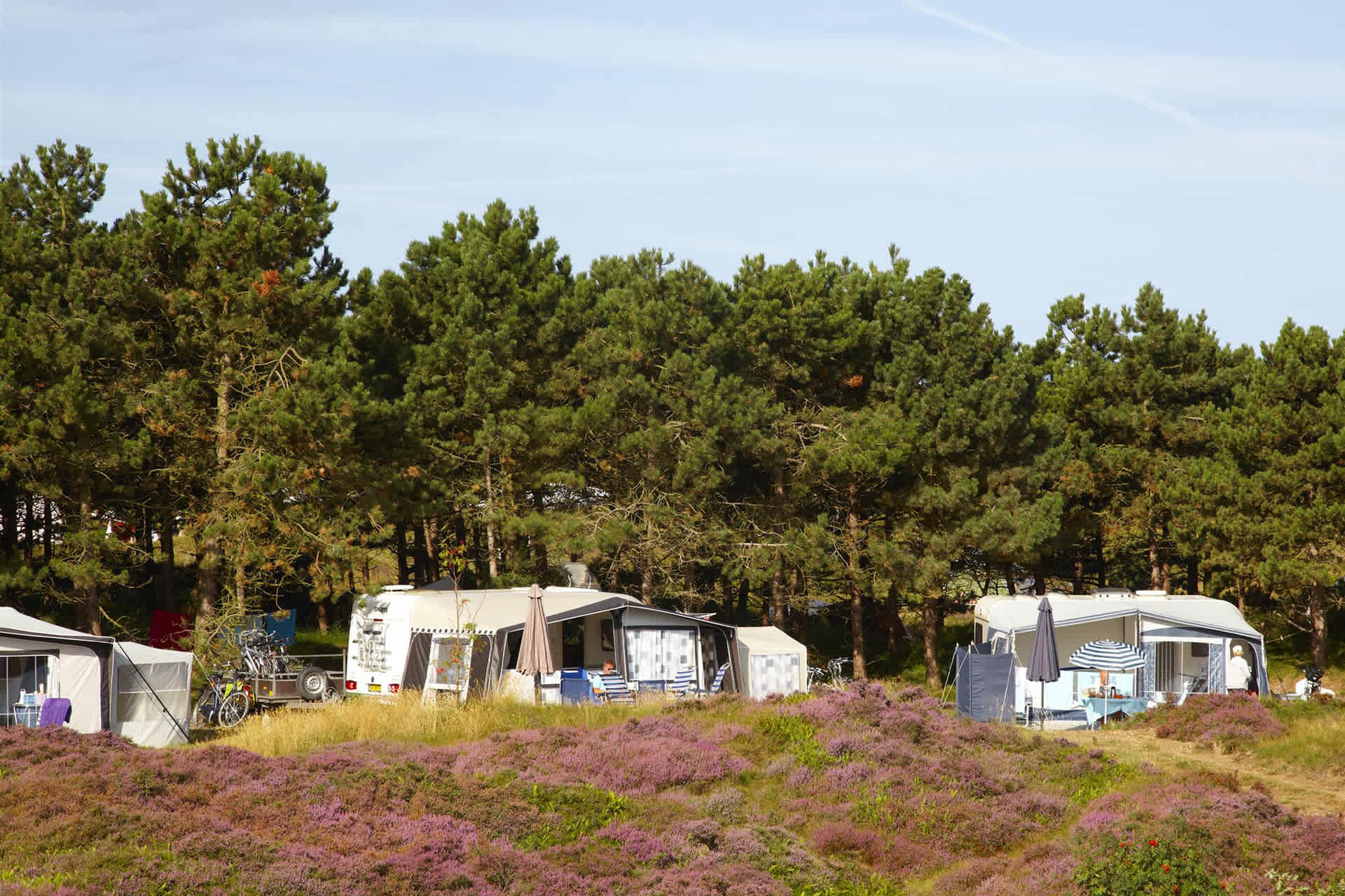 Camping Loodsmansduin, kampeerplaatsen