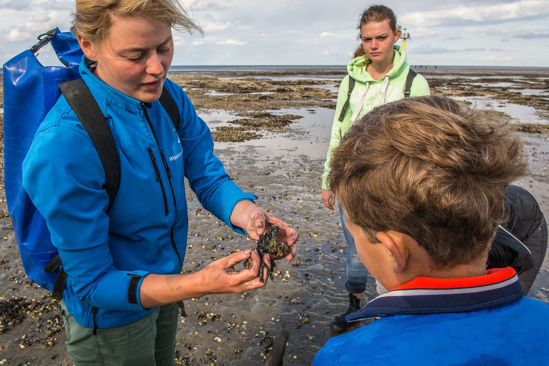 Mudflat walking