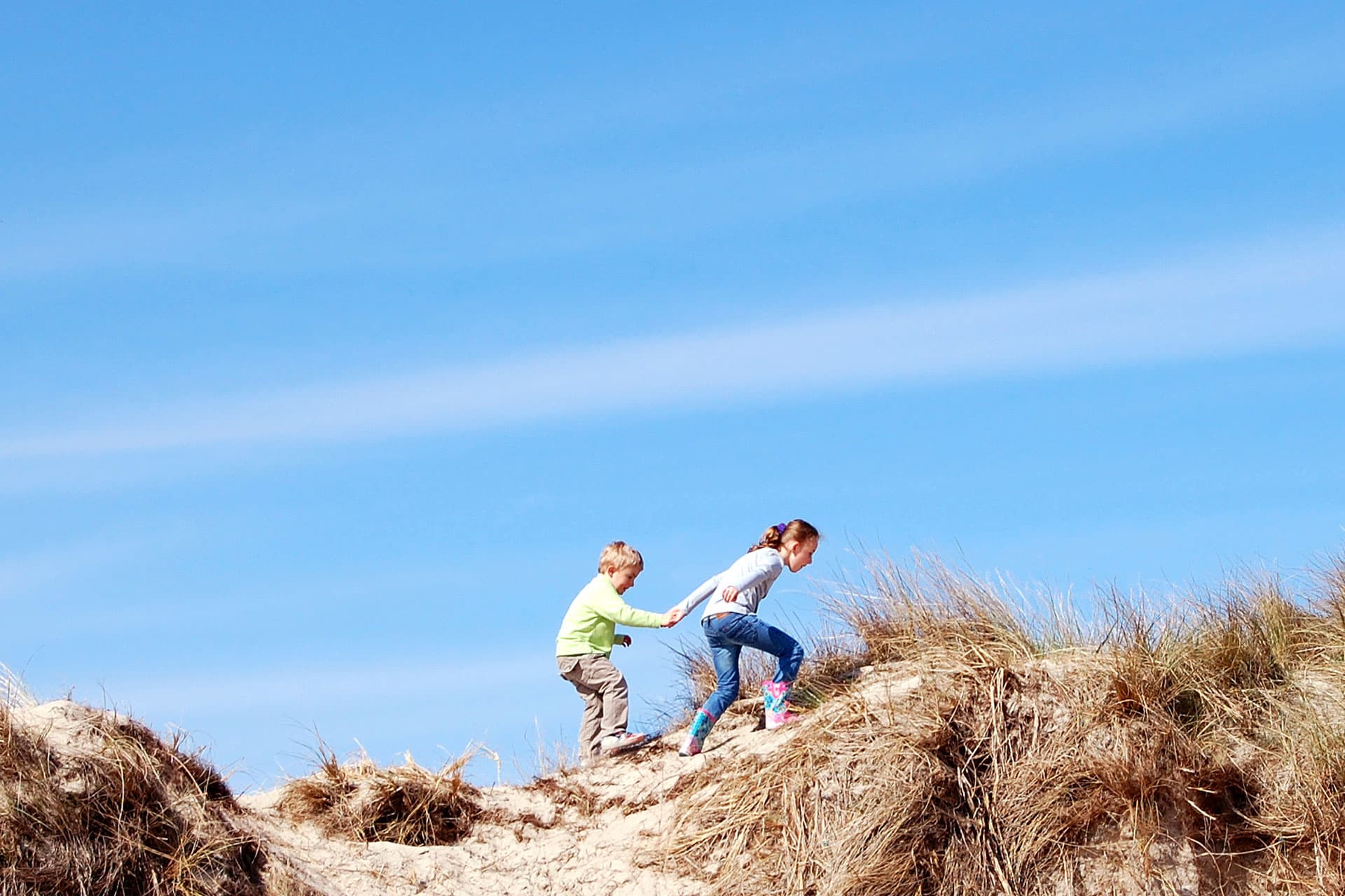 Duinen